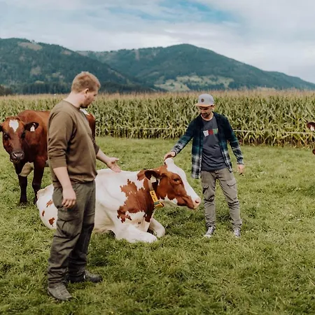 Bergzeit 아파트 플라차우