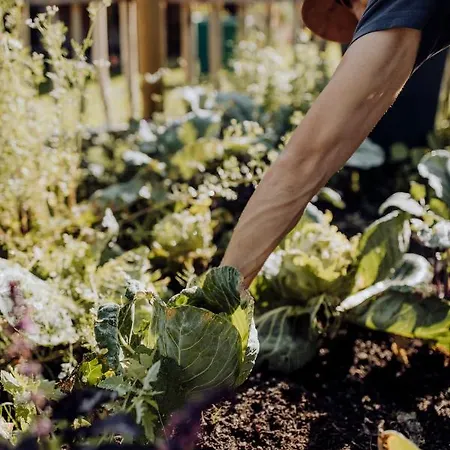 アパート Bergzeit フラッハウ