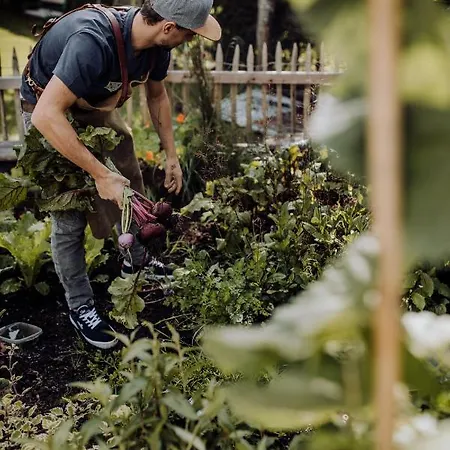 アパート Bergzeit フラッハウ